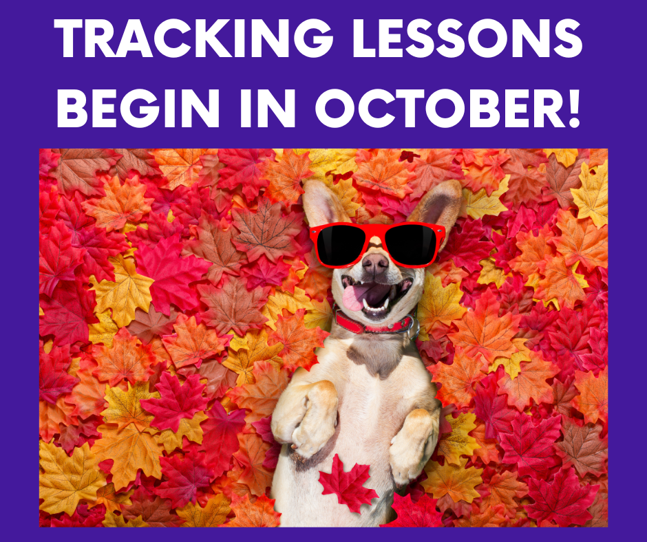 Tracking Lessons Begin in October!