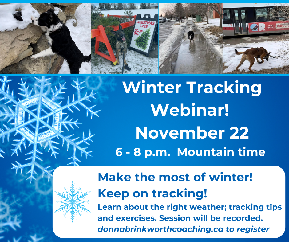 Winter Tracking Webinar is Back!